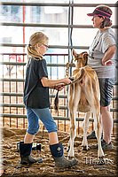 LCFAIR-081318-0751.jpg