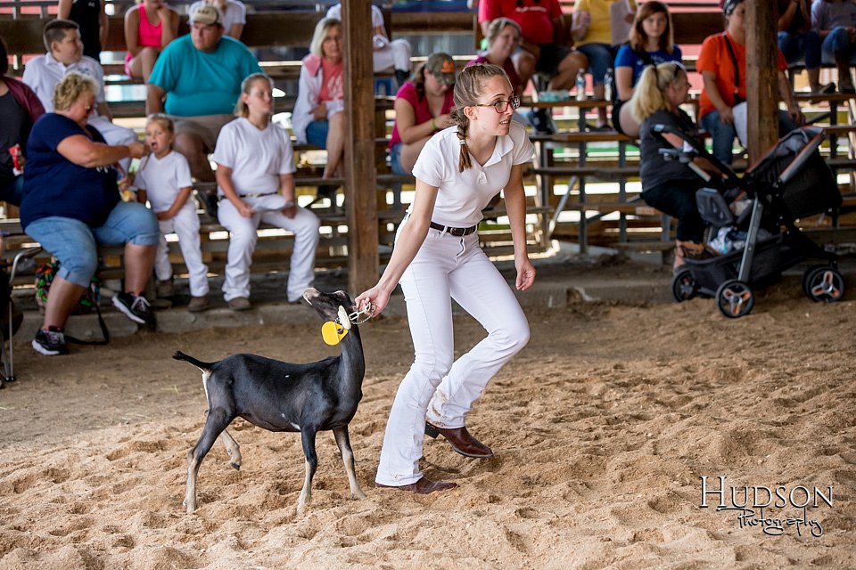 LCFAIR-081318-0802.jpg