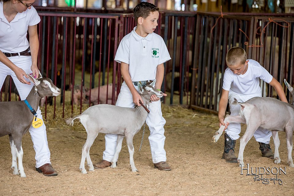 LCFAIR-081318-1187.jpg