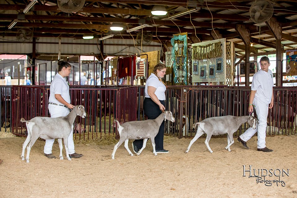 LCFAIR-081318-1221.jpg