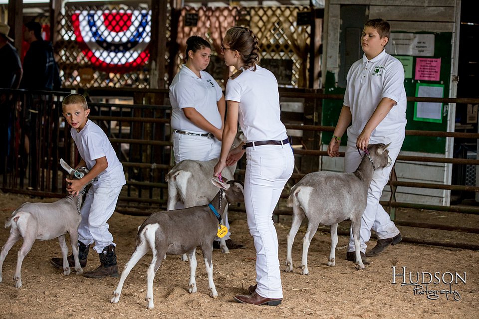 LCFAIR-081318-1230.jpg