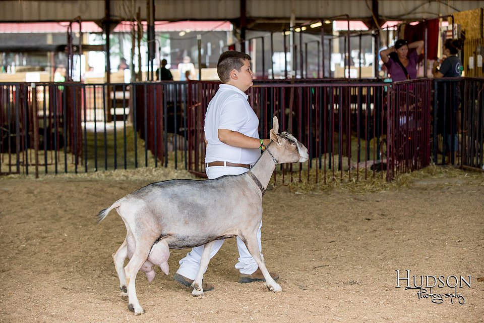LCFAIR-081318-1298.jpg