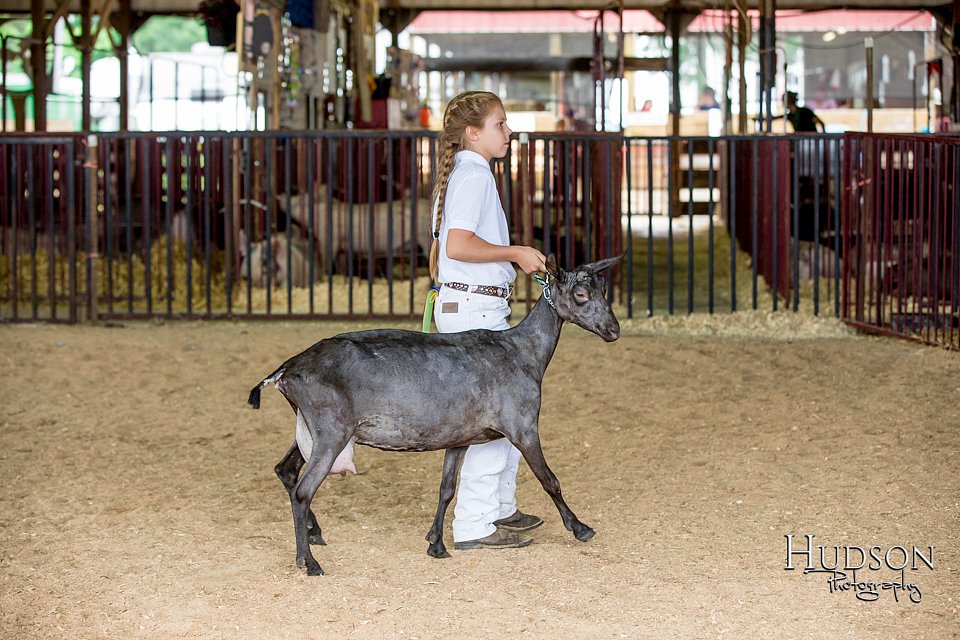 LCFAIR-081318-1299.jpg