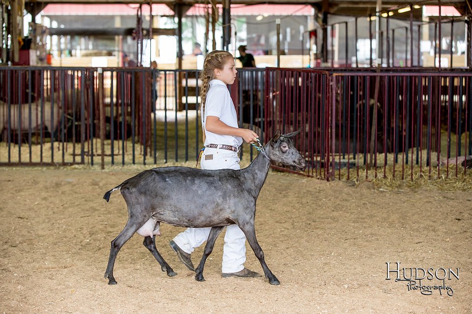 LCFAIR-081318-1300.jpg