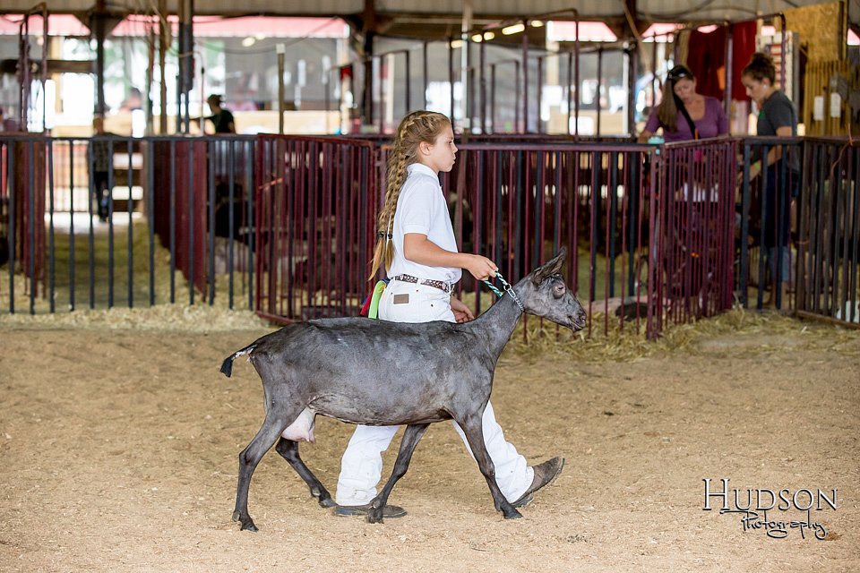 LCFAIR-081318-1301.jpg