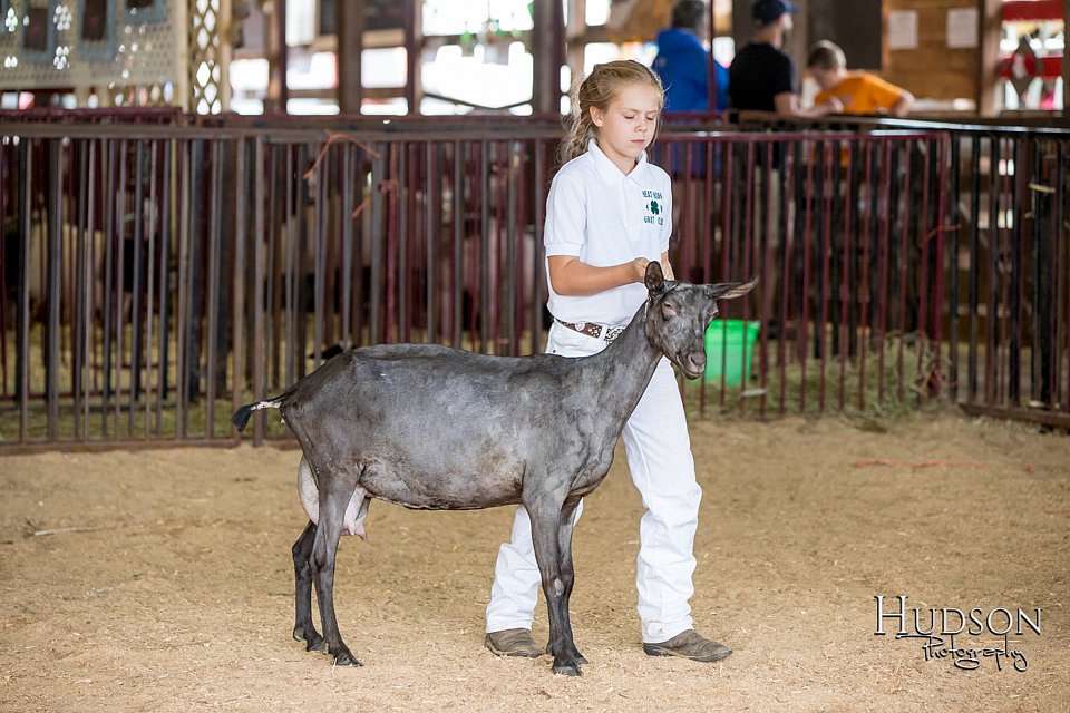 LCFAIR-081318-1302.jpg