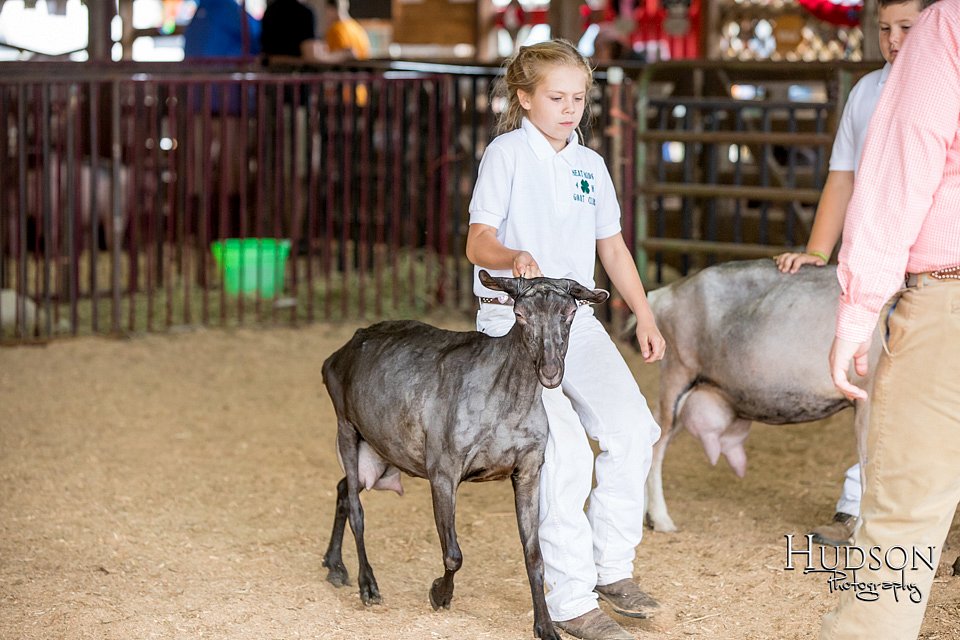 LCFAIR-081318-1303.jpg
