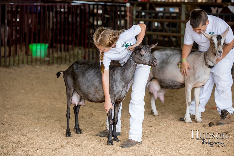 LCFAIR-081318-1304.jpg