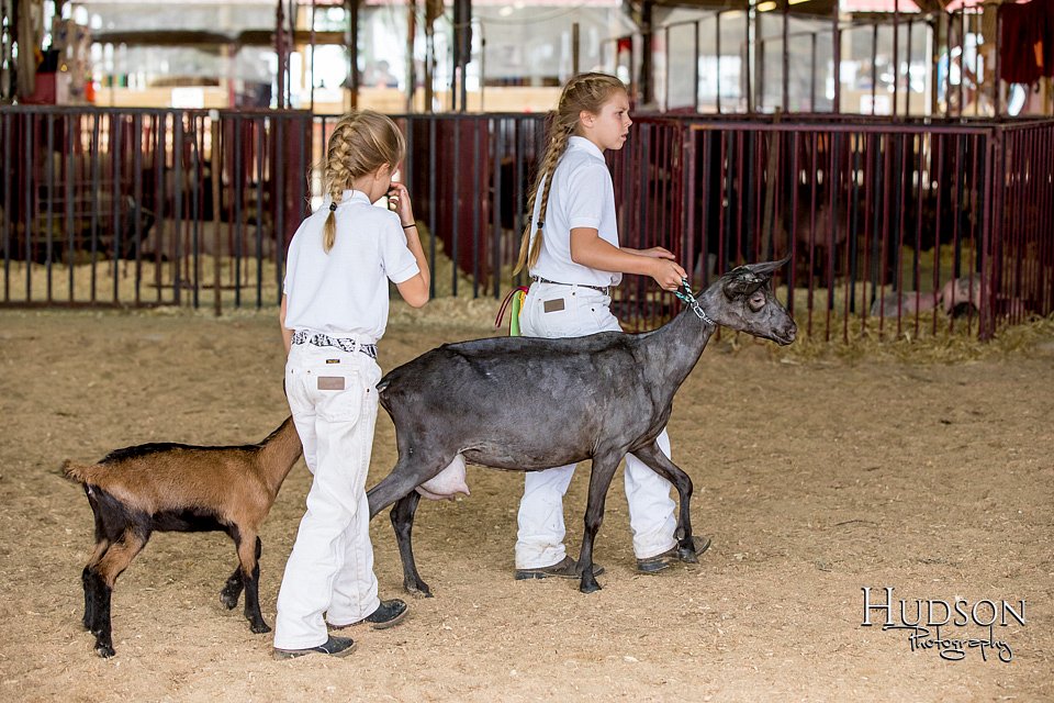 LCFAIR-081318-1316.jpg