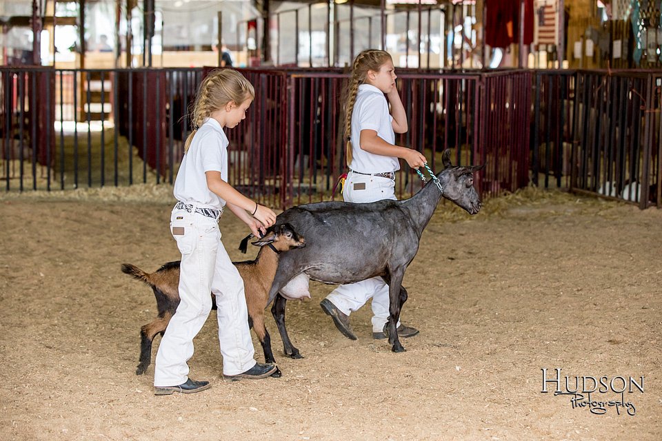 LCFAIR-081318-1317.jpg
