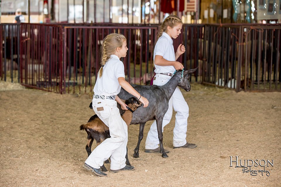 LCFAIR-081318-1318.jpg