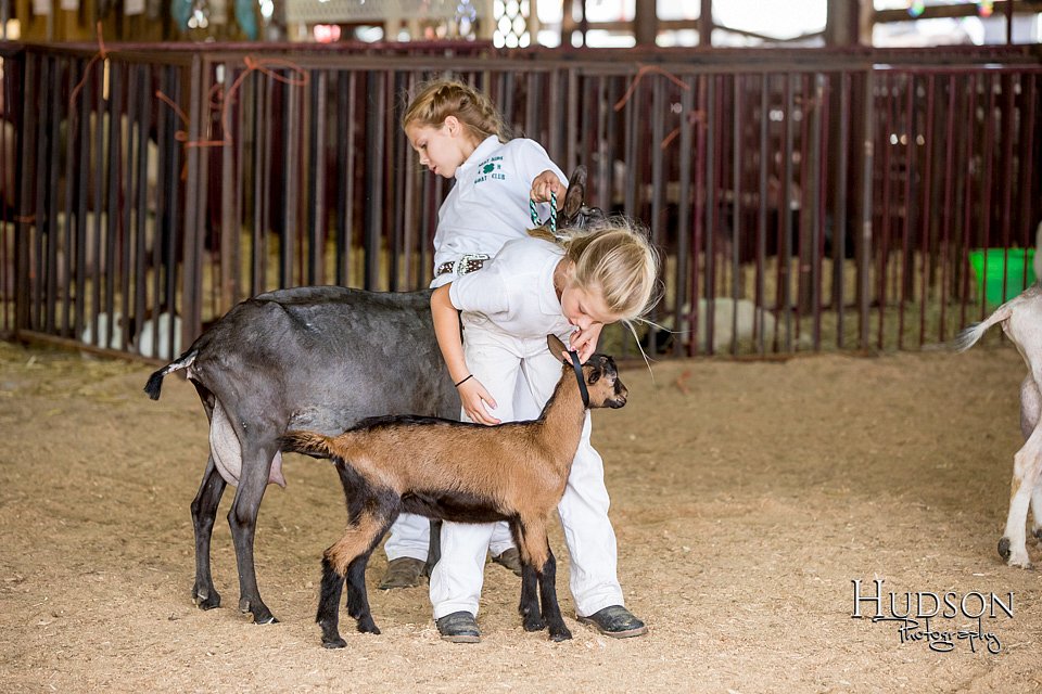 LCFAIR-081318-1319.jpg
