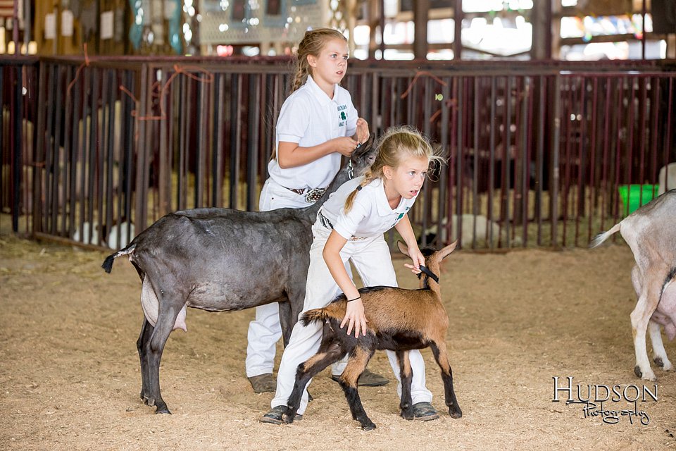 LCFAIR-081318-1320.jpg