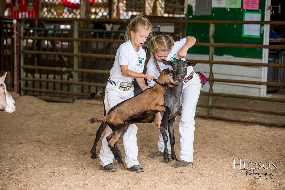 LCFAIR-081318-1324.jpg