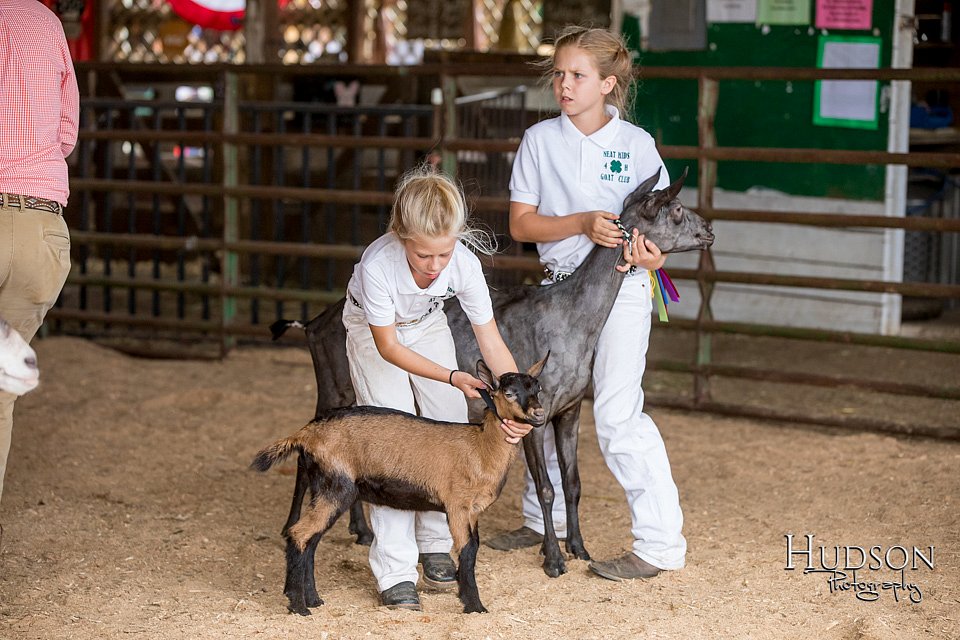 LCFAIR-081318-1325.jpg