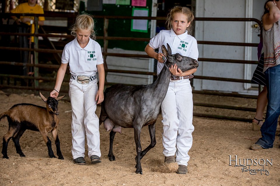 LCFAIR-081318-1331.jpg