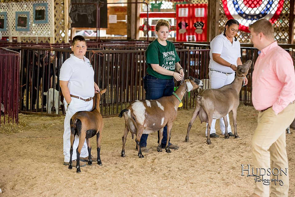 LCFAIR-081318-1334.jpg
