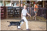 LCFAIR-081318-0788.jpg