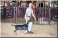 LCFAIR-081318-0790.jpg