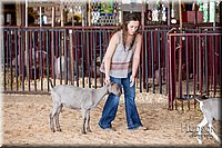 LCFAIR-081318-0801.jpg