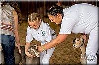 LCFAIR-081318-0809.jpg