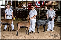 LCFAIR-081318-1163.jpg