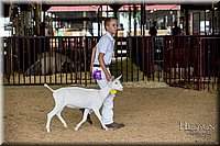 LCFAIR-081318-1169.jpg