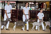 LCFAIR-081318-1203.jpg