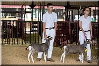 LCFAIR-081318-1205.jpg