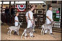 LCFAIR-081318-1232.jpg