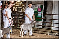 LCFAIR-081318-1234.jpg