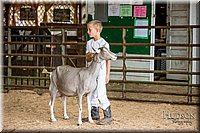 LCFAIR-081318-1241.jpg