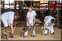 LCFAIR-081318-1251.jpg