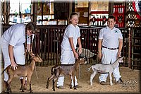 LCFAIR-081318-1256.jpg
