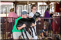 LCFAIR-081318-1268.jpg