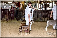 LCFAIR-081318-1297.jpg