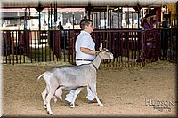 LCFAIR-081318-1298.jpg