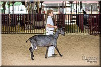 LCFAIR-081318-1299.jpg