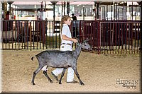 LCFAIR-081318-1300.jpg