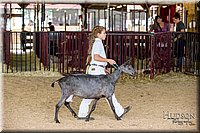 LCFAIR-081318-1301.jpg