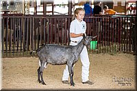 LCFAIR-081318-1302.jpg