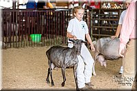 LCFAIR-081318-1303.jpg