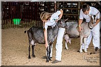 LCFAIR-081318-1304.jpg