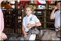 LCFAIR-081318-1306.jpg
