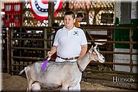 LCFAIR-081318-1308.jpg