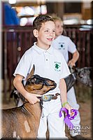 LCFAIR-081318-1309.jpg