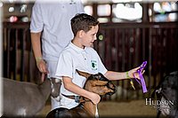 LCFAIR-081318-1312.jpg