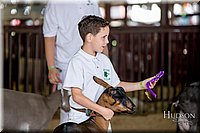 LCFAIR-081318-1313.jpg