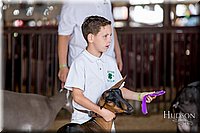 LCFAIR-081318-1314.jpg