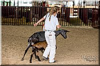 LCFAIR-081318-1315.jpg